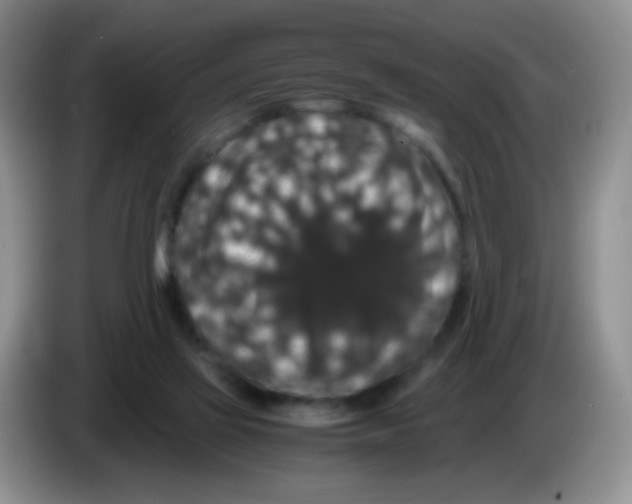 X0000086260069200704262004