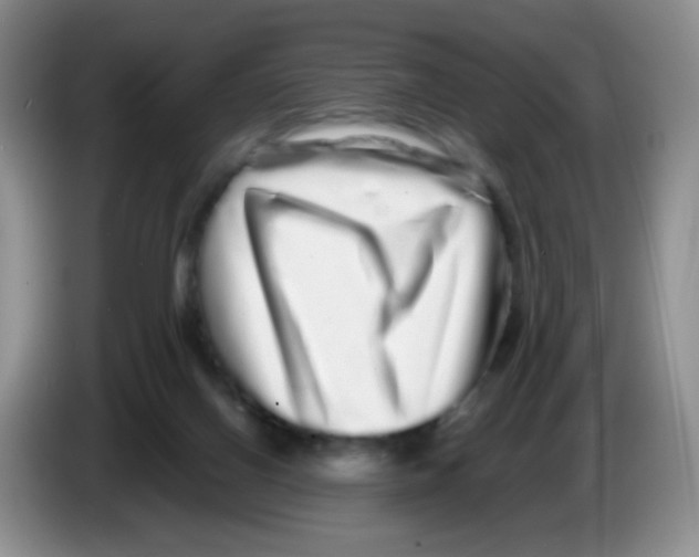 X0000086260070200704262004