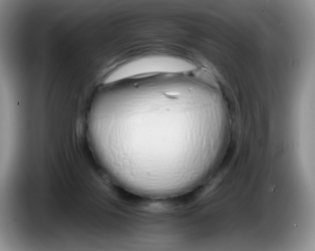 X0000086260071200704262004