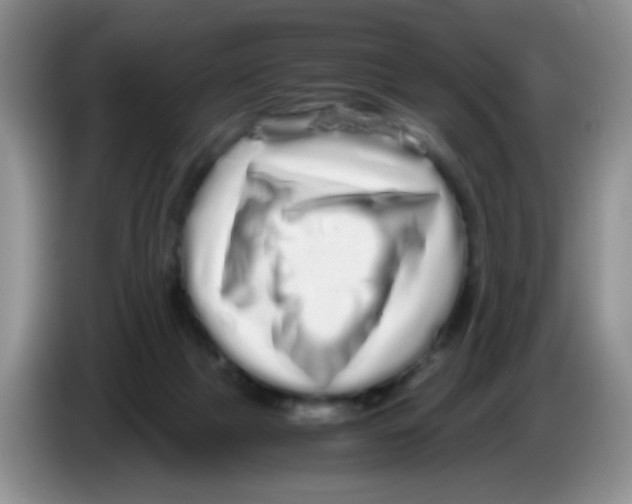 X0000086260073200704262004