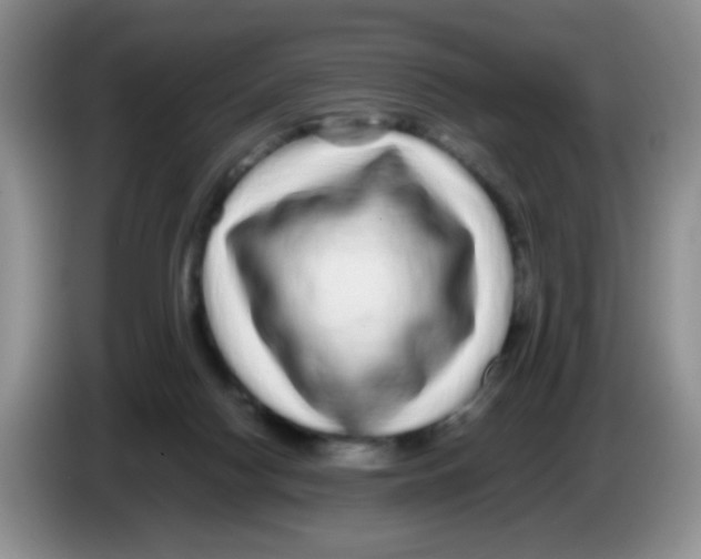 X0000086260074200704262004