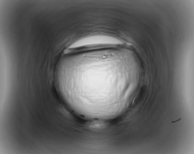 X0000086260077200704262004