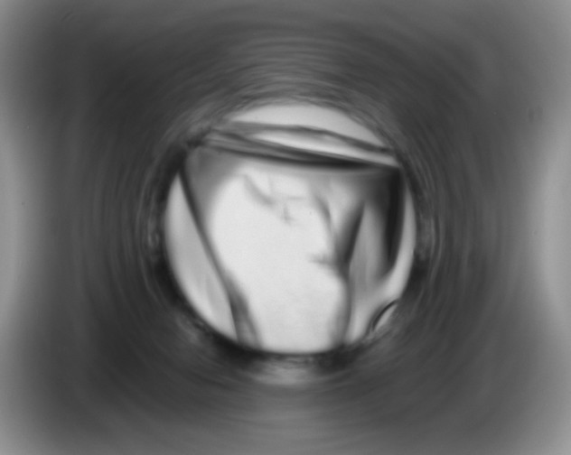 X0000086260078200704262004