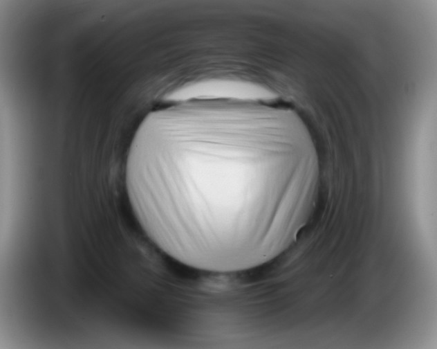 X0000086260079200704262004