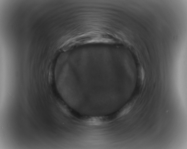 X0000086260080200704262004
