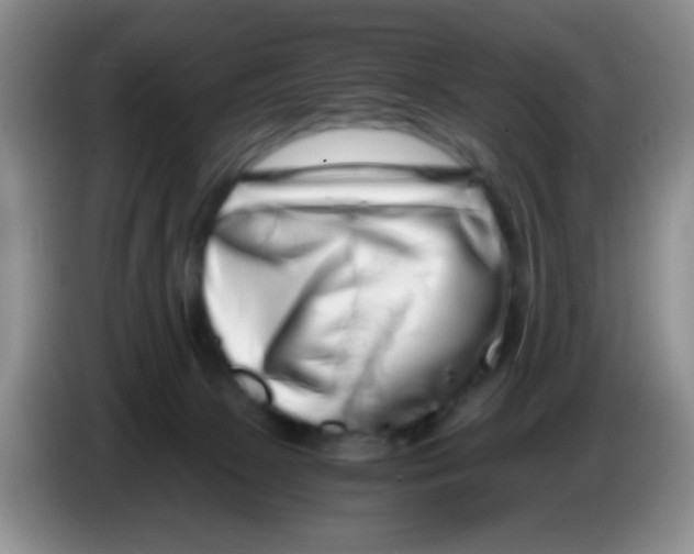 X0000086260081200704262004