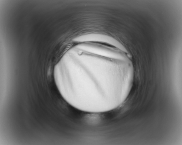 X0000086260082200704262004