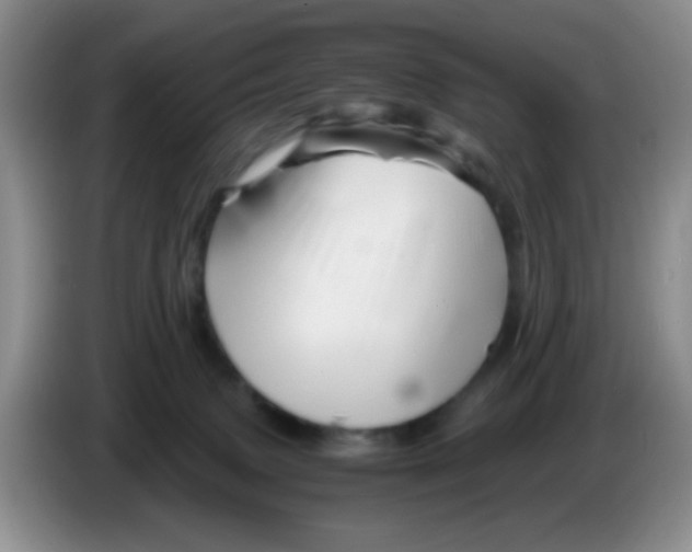 X0000086260083200704262004