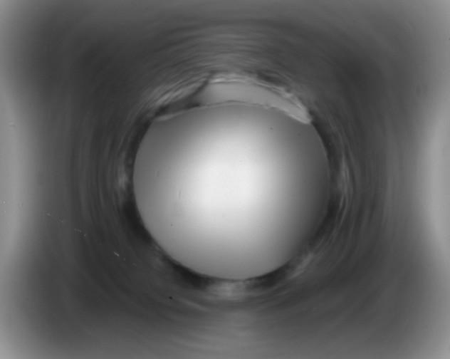 X0000086260084200704262004