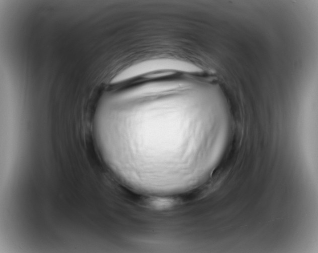 X0000086260085200704262004