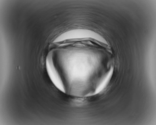 X0000086260086200704262004