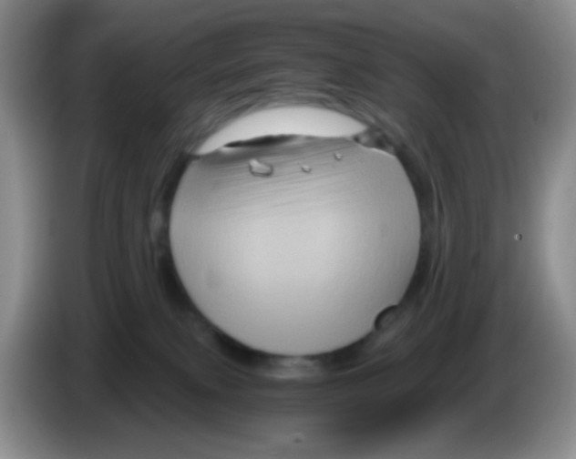 X0000086260087200704262004