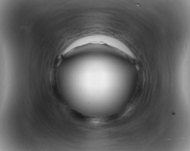 X0000086260088200704262004