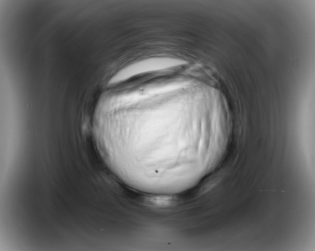 X0000086260089200704262004