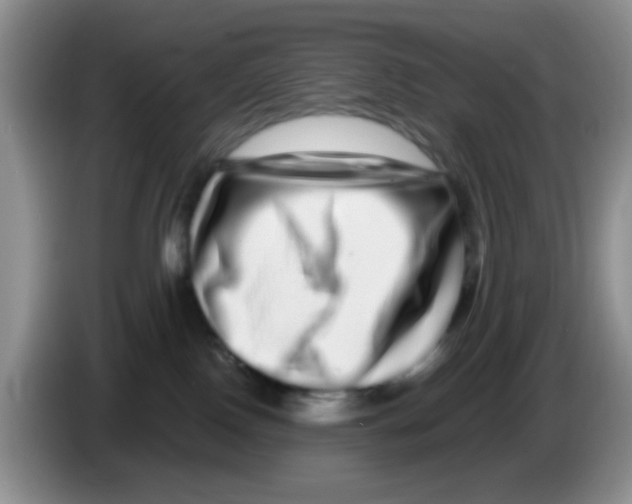 X0000086260090200704262004
