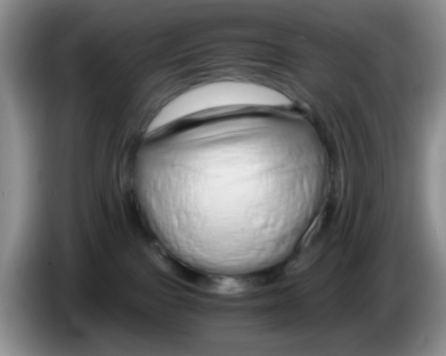 X0000086260091200704262004