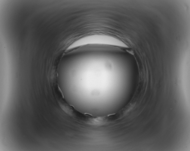 X0000086260092200704262004