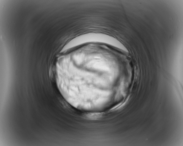 X0000086260094200704262004