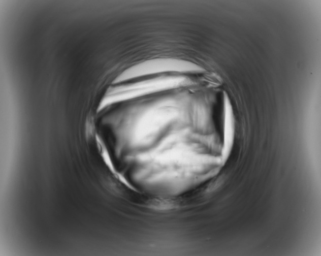 X0000086260095200704262004