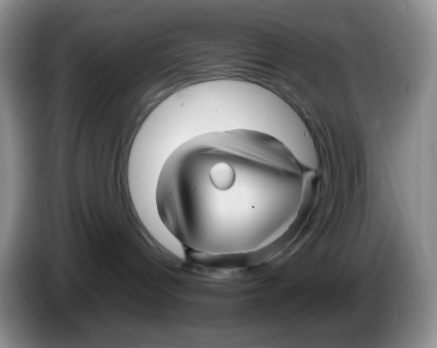 X0000086260096200704262004