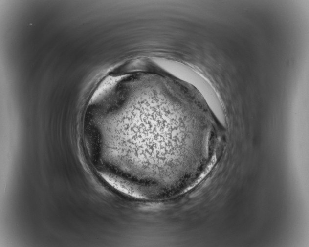 X0000086260097200704262004