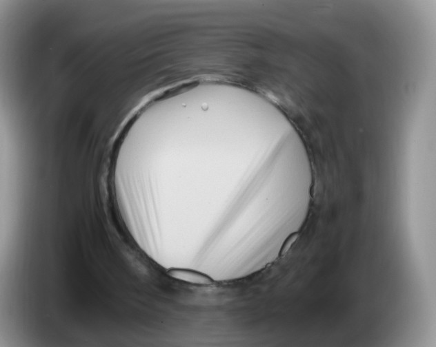 X0000086260098200704262004