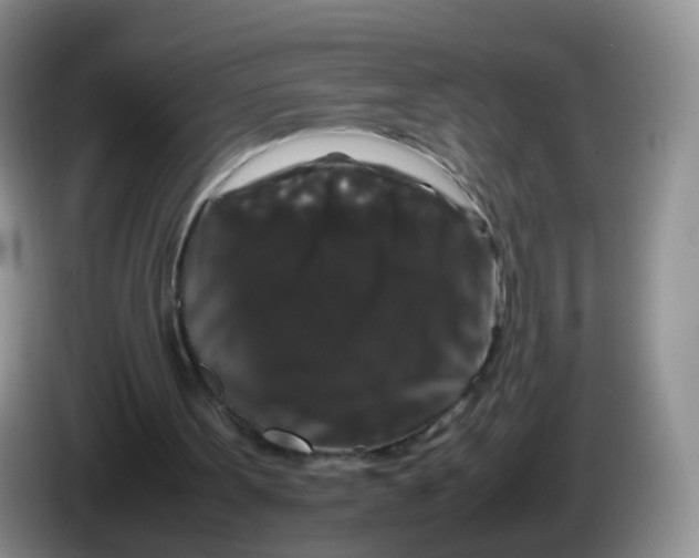 X0000086260099200704262004