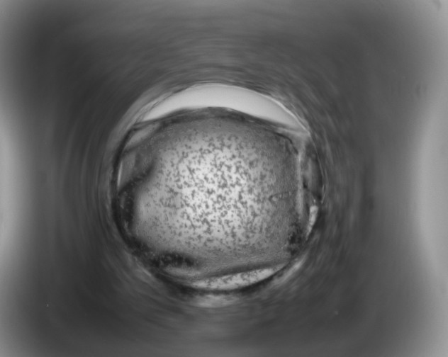 X0000086260101200704262004