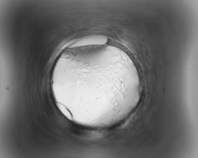 X0000086260103200704262004