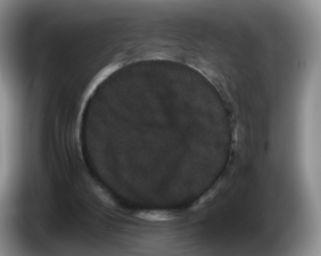 X0000086260104200704262004