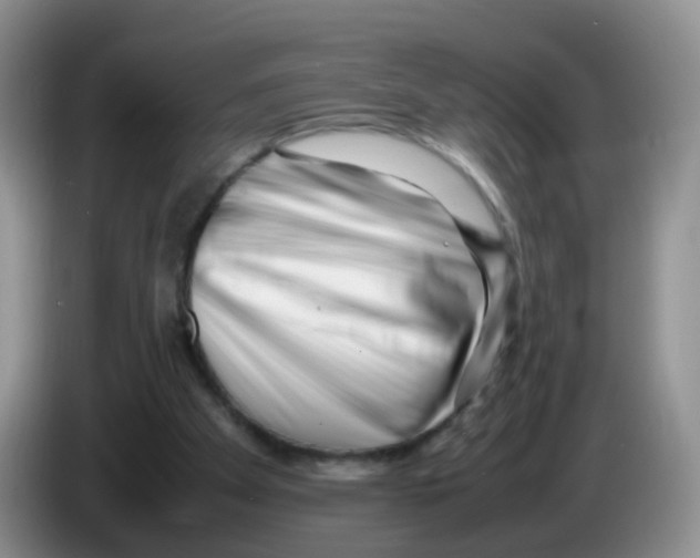 X0000086260105200704262004