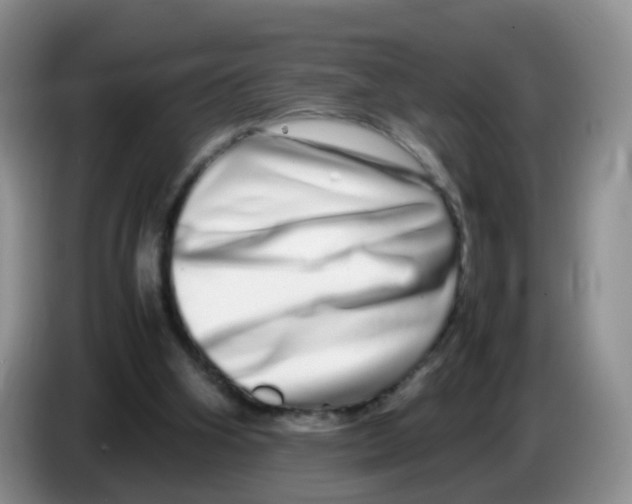 X0000086260106200704262004