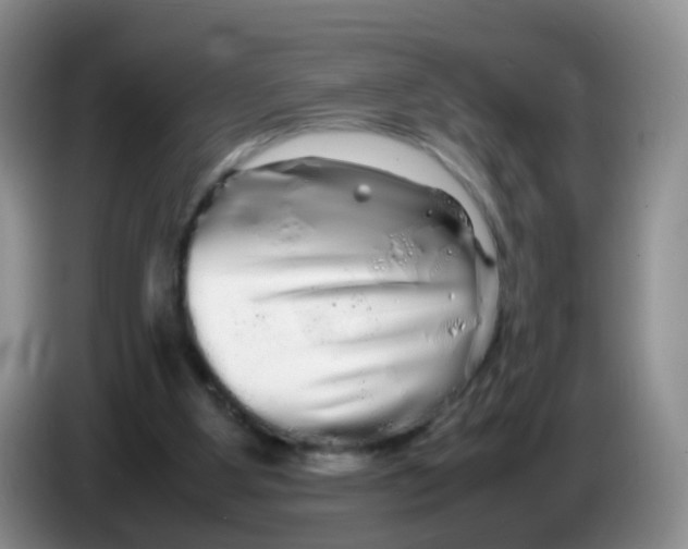 X0000086260107200704262004