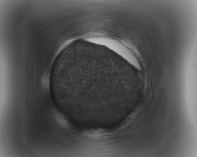 X0000086260108200704262004