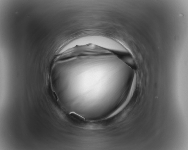 X0000086260109200704262004