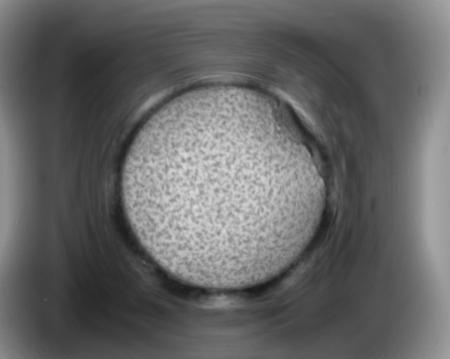 X0000086260111200704262003
