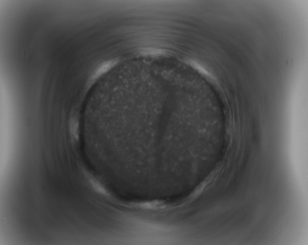 X0000086260112200704262003