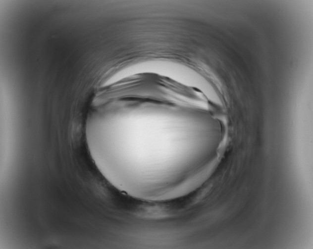 X0000086260113200704262003