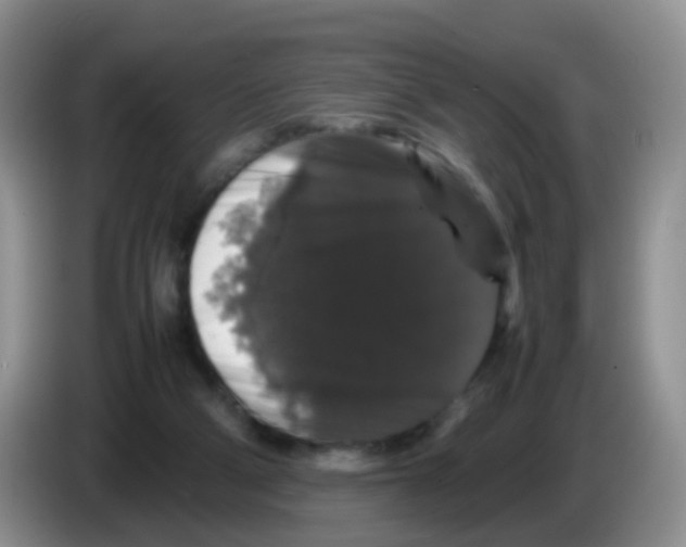 X0000086260114200704262003