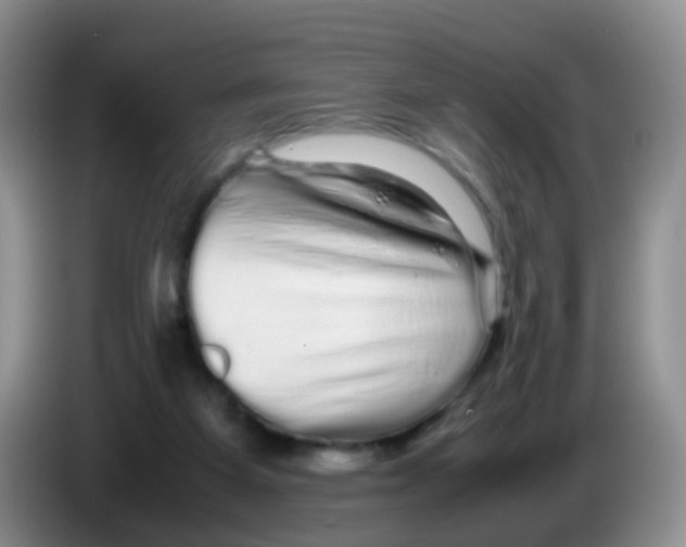 X0000086260115200704262003