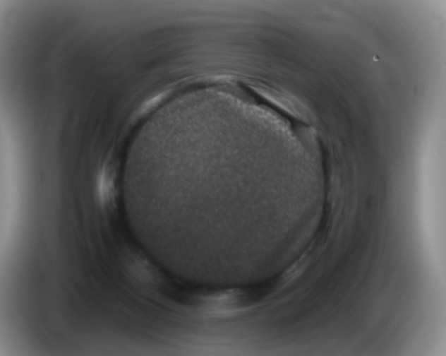 X0000086260116200704262003