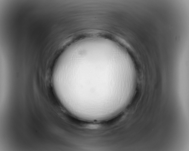 X0000086260119200704262003
