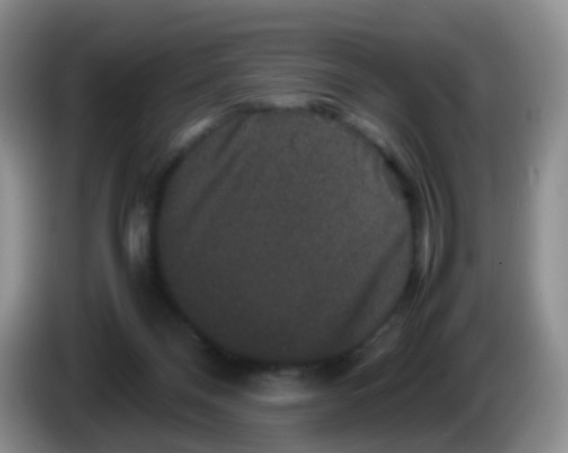 X0000086260120200704262003