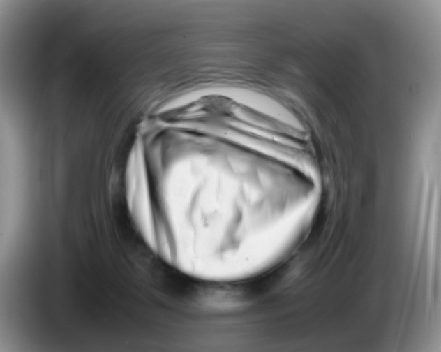 X0000086260123200704262003