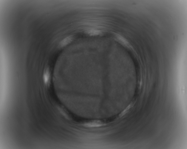 X0000086260124200704262003