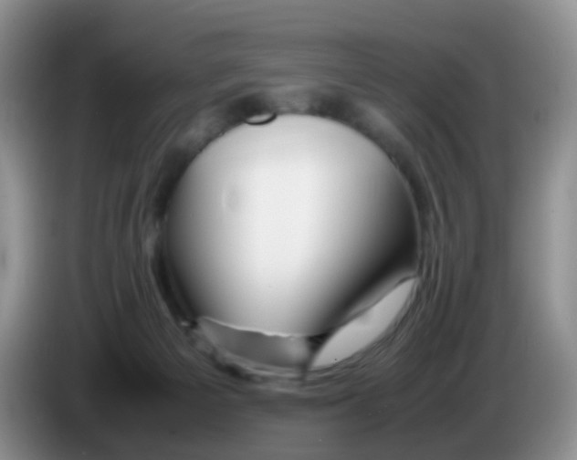 X0000086260125200704262003