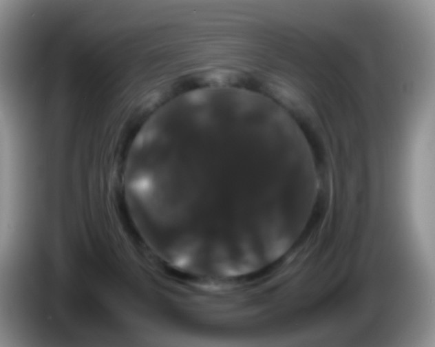 X0000086260127200704262003