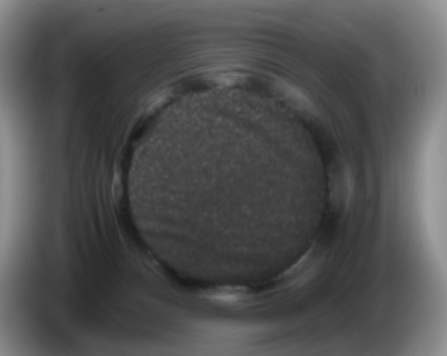 X0000086260128200704262003
