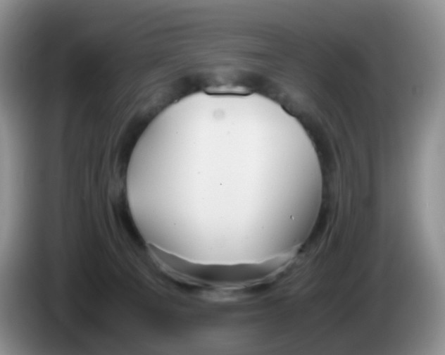 X0000086260129200704262003