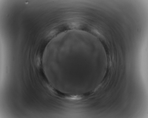 X0000086260130200704262003